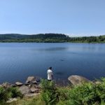 Devon pond
